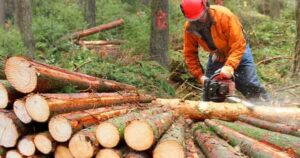 Logging Workers